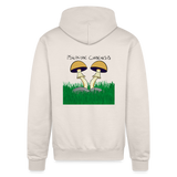 Psilocybe Cubensis - Sand