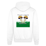 Psilocybe Cubensis - white