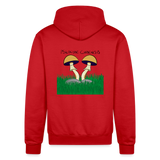 Psilocybe Cubensis - Scarlet