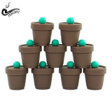 Silicone Cactus Container